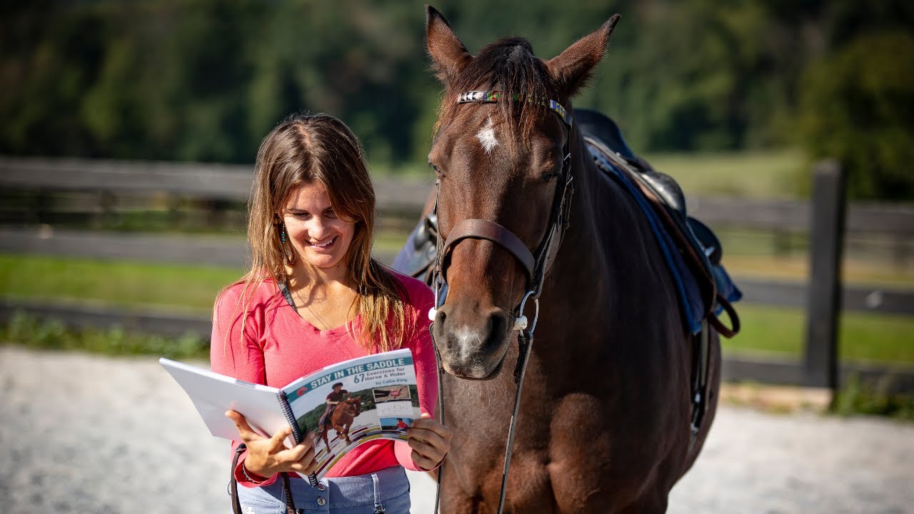 Stay in the Saddle - 67 Exercises for Horse & Rider