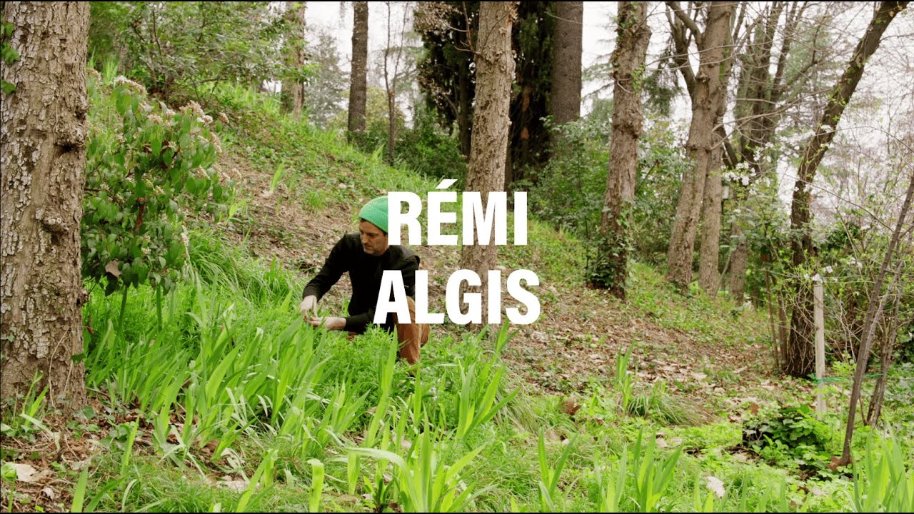 Rémi Algis - Artiste en résidence 2024-2025