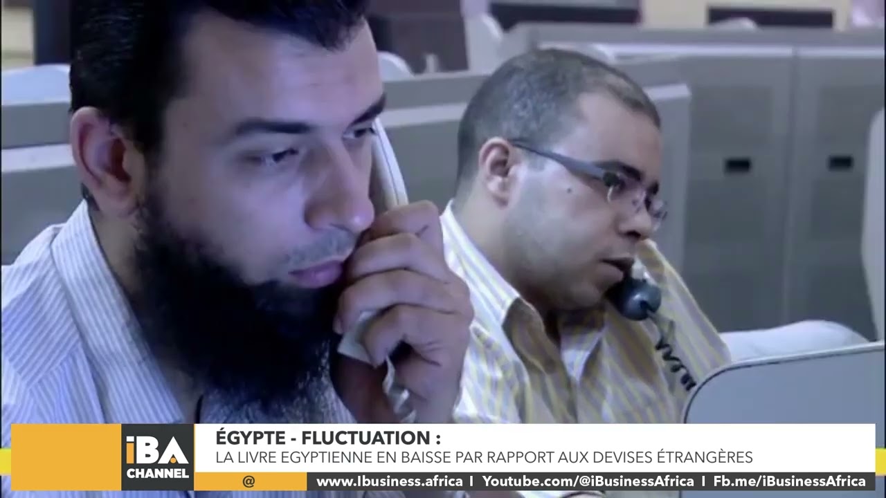 &Eacute;GYPTE &ndash; FLUCTUATION:  LA LIVRE EN BAISSE PAR RAPPORT AUX DEVISES &Eacute;TRANG&Egrave;RES