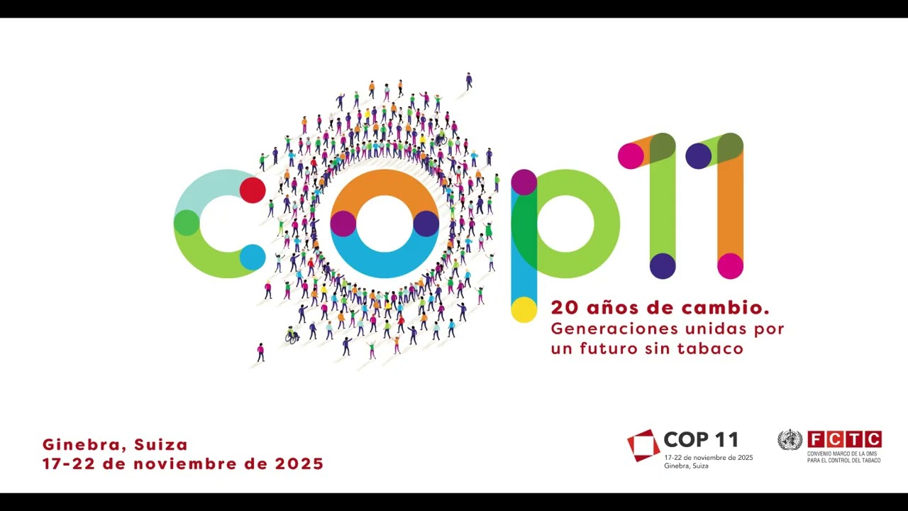 Punto 2 – Solicitudes para obtener la condición de observador