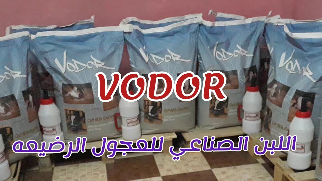 لبن صناعي للعجول الرضيع
