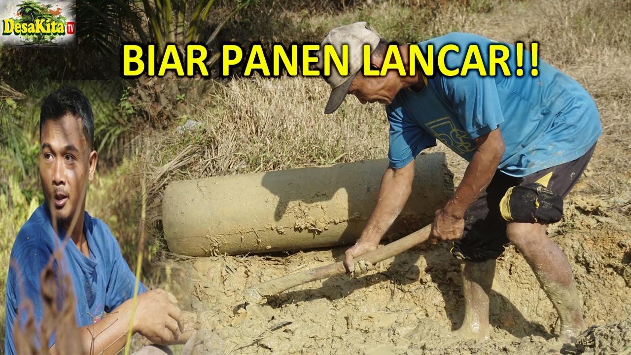 Bangun Jembatan Gorong-Gorong di Jalan Produksi Sawit | Biar Langsir Panen Makin Lancar!