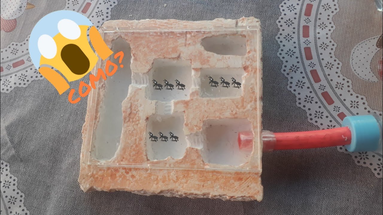Como fazer um formigario com molde isopor!