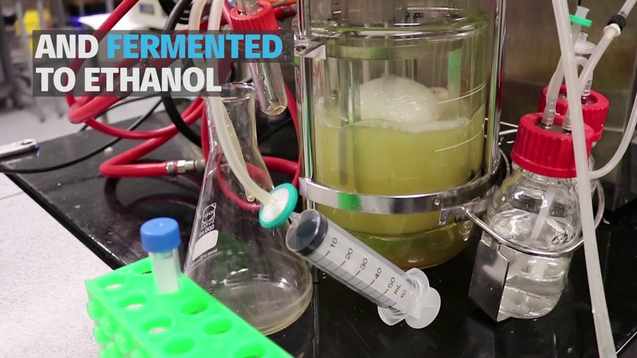 ETHTEC - Sustainable biofuel for the future