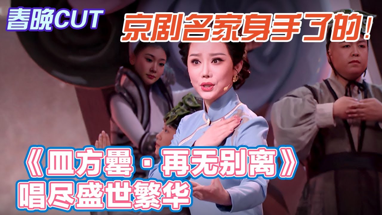 京剧名家身手了得！张璇《皿方罍·再无别离》尽盛世繁华【春晚CUT】#舞台 #热门综艺#春晚#2026 #新春#京剧