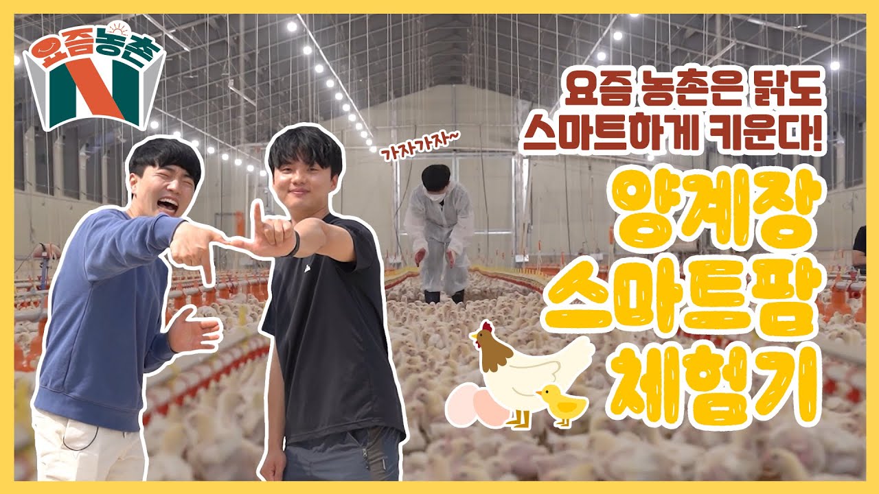 #요즘농촌N _최첨단 시스템이 닭장에도?! 양계장 스마트팜 체험기👍