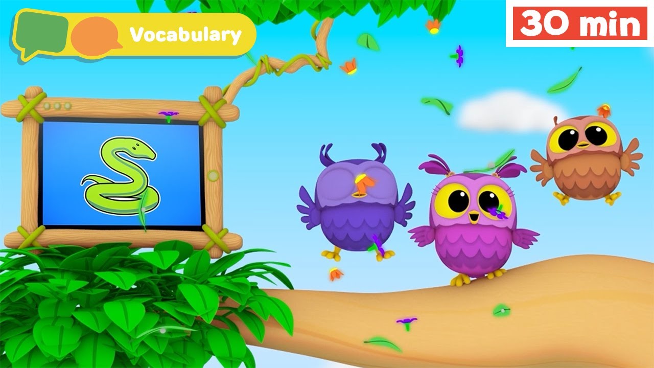 Hoot, Scoot & What | Learn Vocabulary for Kids | First Words & ABC alphabet  | Animals for Babies