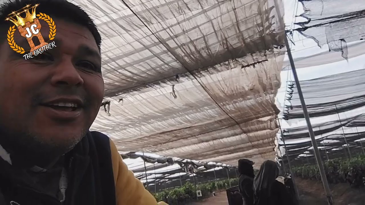 Así es el trabajo en el Campo 