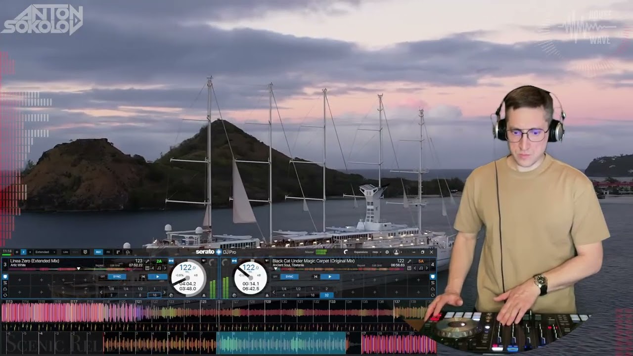 Anton Sokolov - Organic house 2026