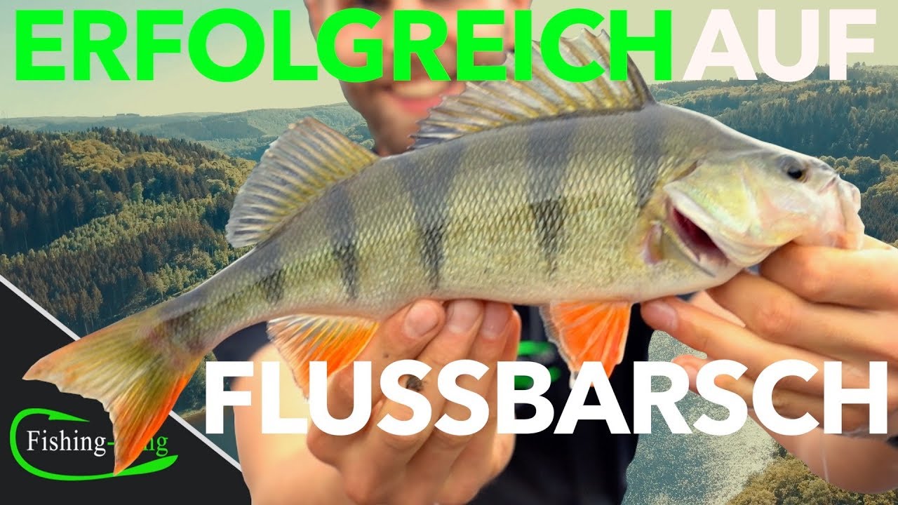 5 TIPPS f&uuml;rs BARSCHANGELN vom Ufer | Fishing-King.de