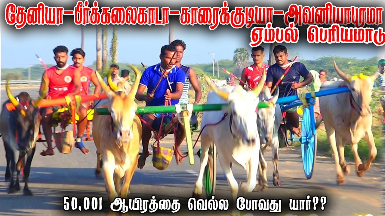 ஏம்பல் பெரியமாடு பந்தயம் 04-03-2026 #panthyam_live #நேரலை_பந்தயம் #today_panthaiyam #live_today