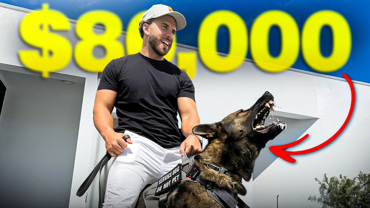 I Bought an $80,000 Dog… Was It Worth It?