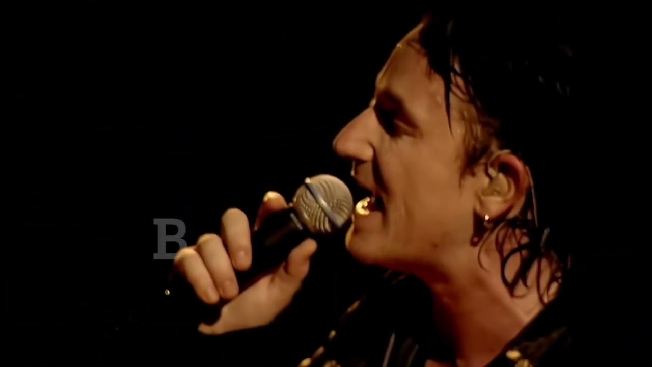 The Elvis Music Project Video Essay