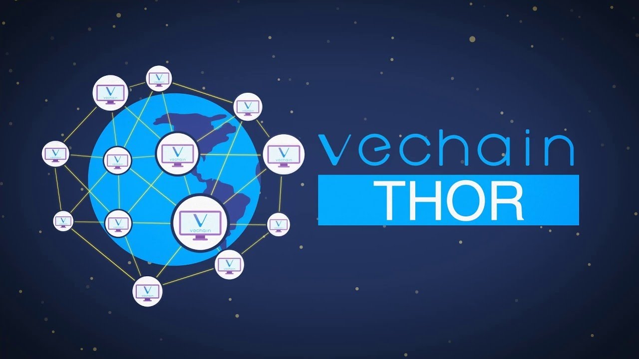 Unveiling VeChainThor: A Blockchain Tailored for Real-World Applications