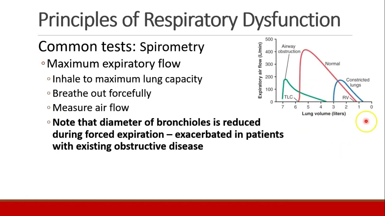 Applied Physiology for Anesthesia - 05 - PULMONARY - Part 5