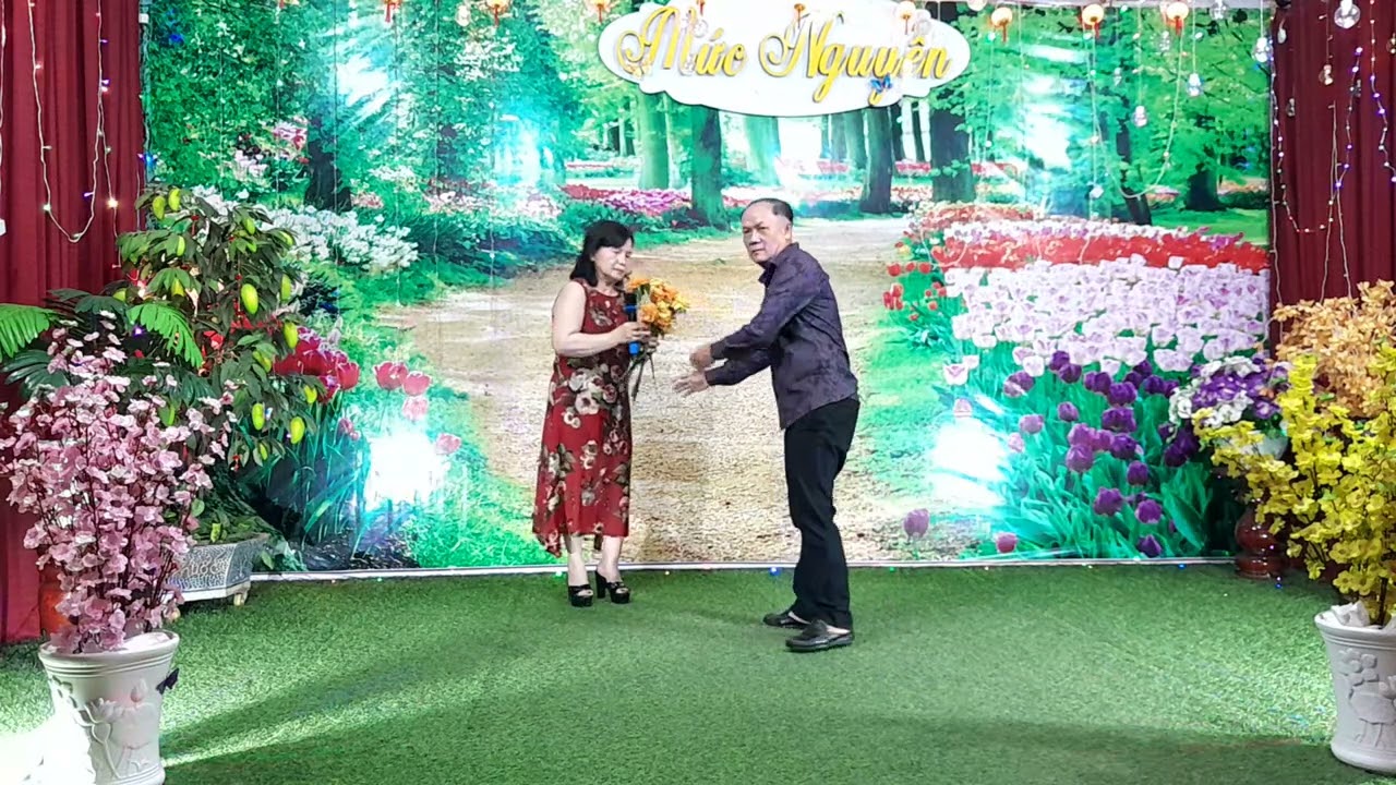 🌇 Không Phải Tại Chúng Mình 🎋 Kim Lệ 🎋02/03/2026
