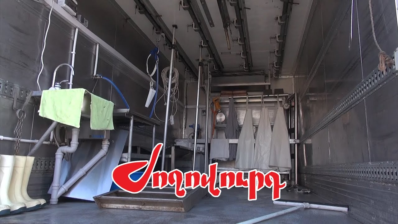 «Մի կաթ արյուն չի թափվում. ինչպես է աշխատում Հայաստանի միակ  շարժական սպանդանոցը