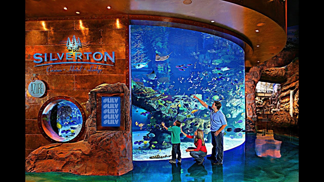 Silverton Casino & Bass Pro Shops in Las Vegas!