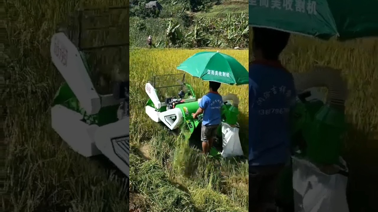 Affordable mini combine harvester