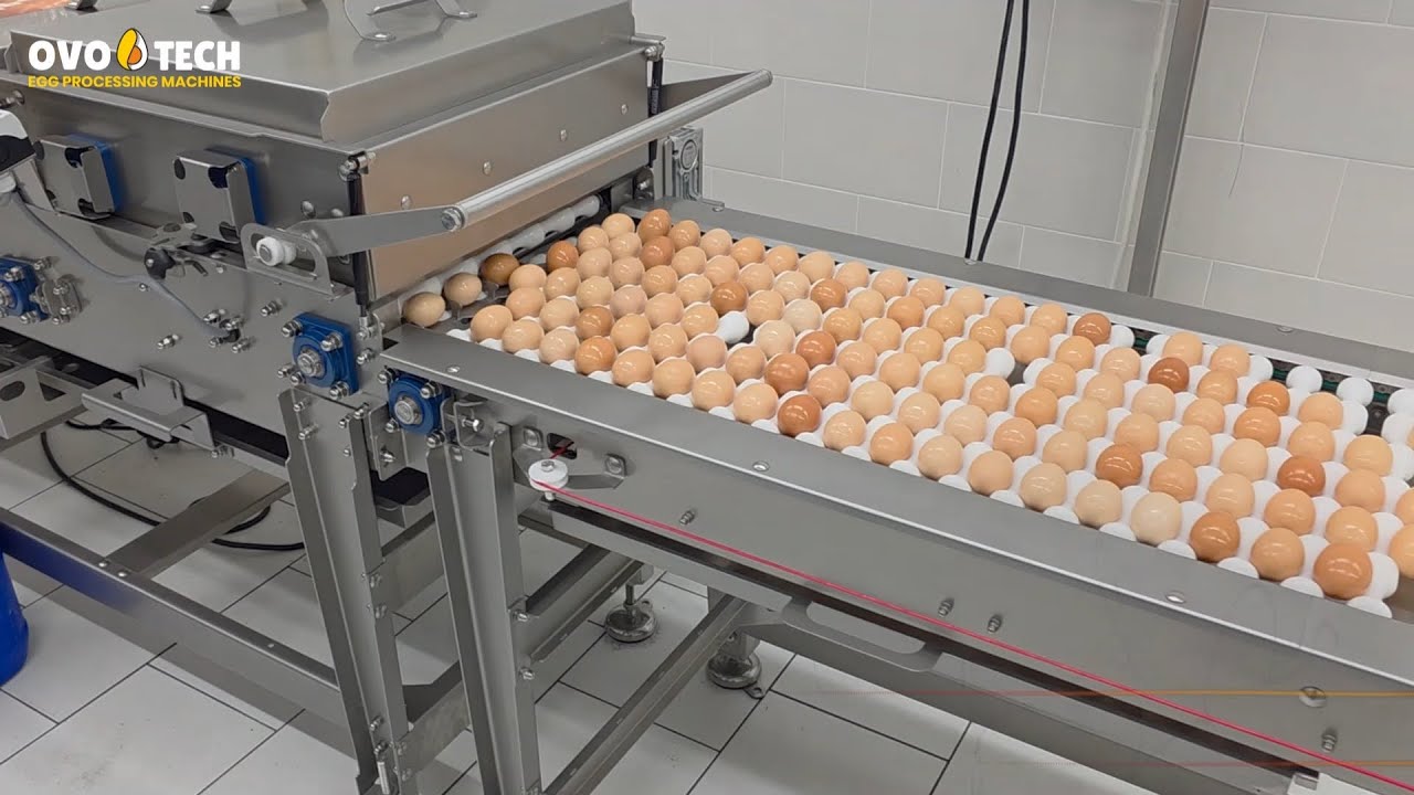 OS-1 Oiling system | Egg coating machine by Ovo-Tech