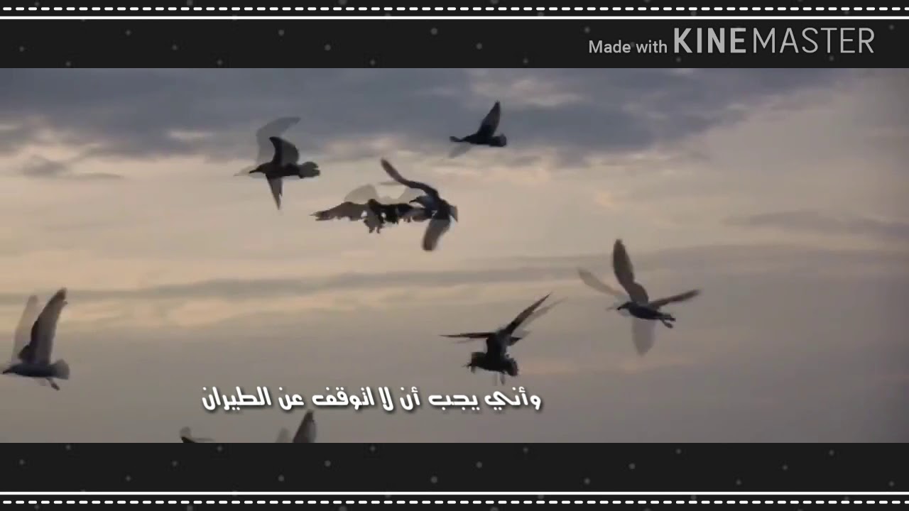 رفقا بي .. بقلم / الجوري الهاشمي