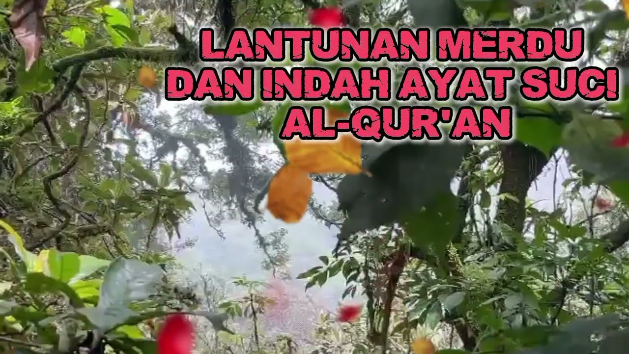 AYAT SUCI AL-QUR'AN PENYEJUK HATI #ngajiyuk #tilawah