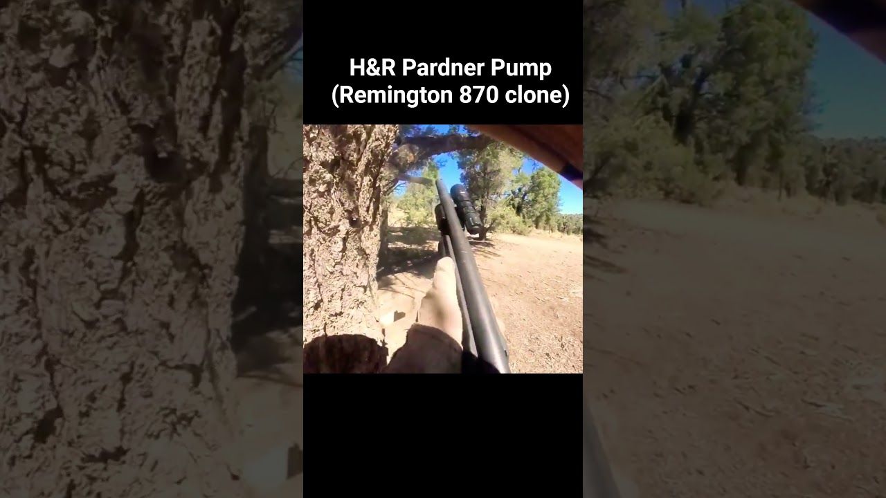 H&R Pardner Pump (Remington 870 clone). #pumpaction #H&R #00buck #Remington #12gauge