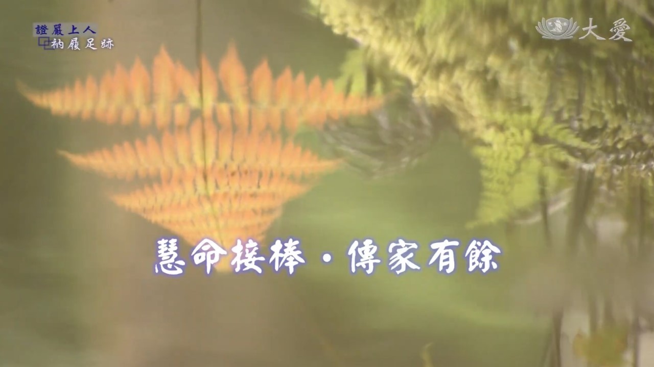 In the Footsteps of Venerable Master Cheng Yen - A Heritage of Great Love (證嚴上人衲履足跡 - 慧命接棒 傳家有餘)