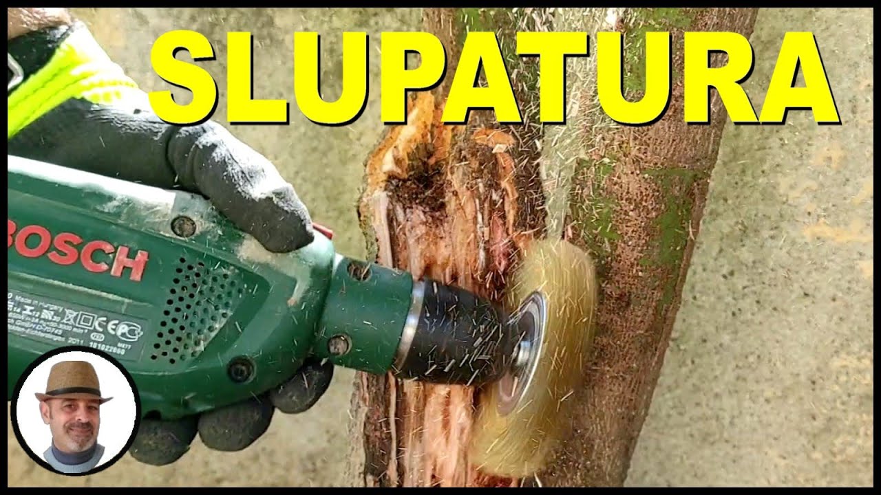 SLUPATURA della pianta con attrezzi meccanici