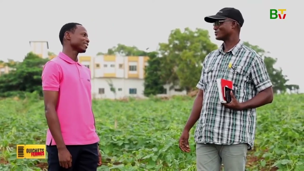 Scènes du Bénin : Adja-Ouèrè vous dévoile ses merveilles
