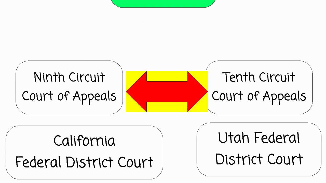What is a Circuit Split