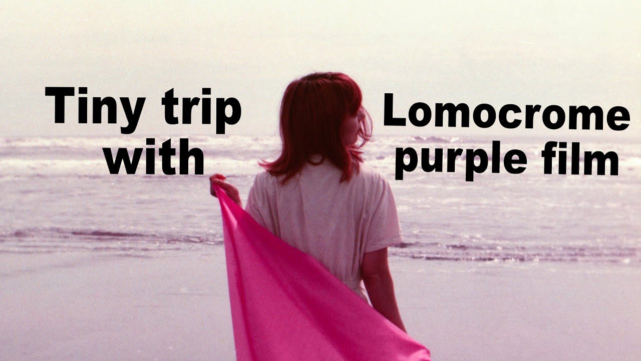 End of Summer / Tiny trip lomochrome purple film