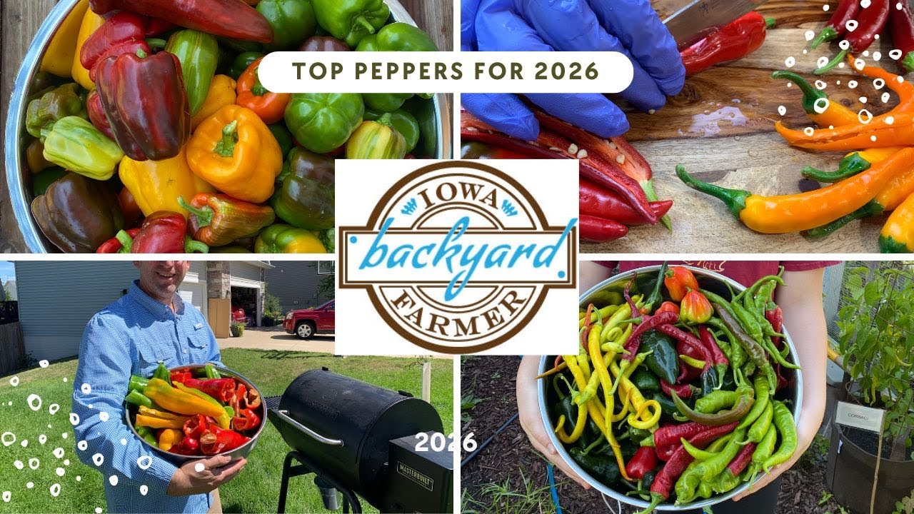 Peppers: What made the list in 2026?