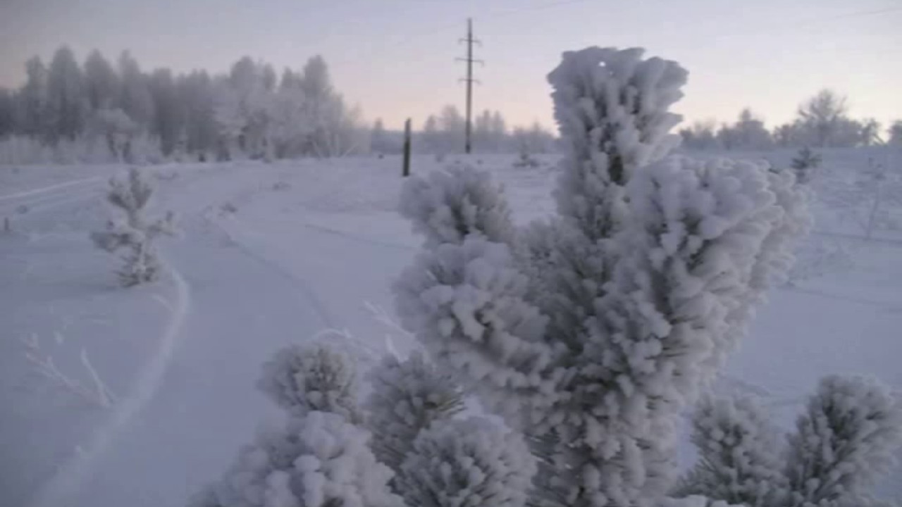 РАЗНЫЕ ЛЮДИ 