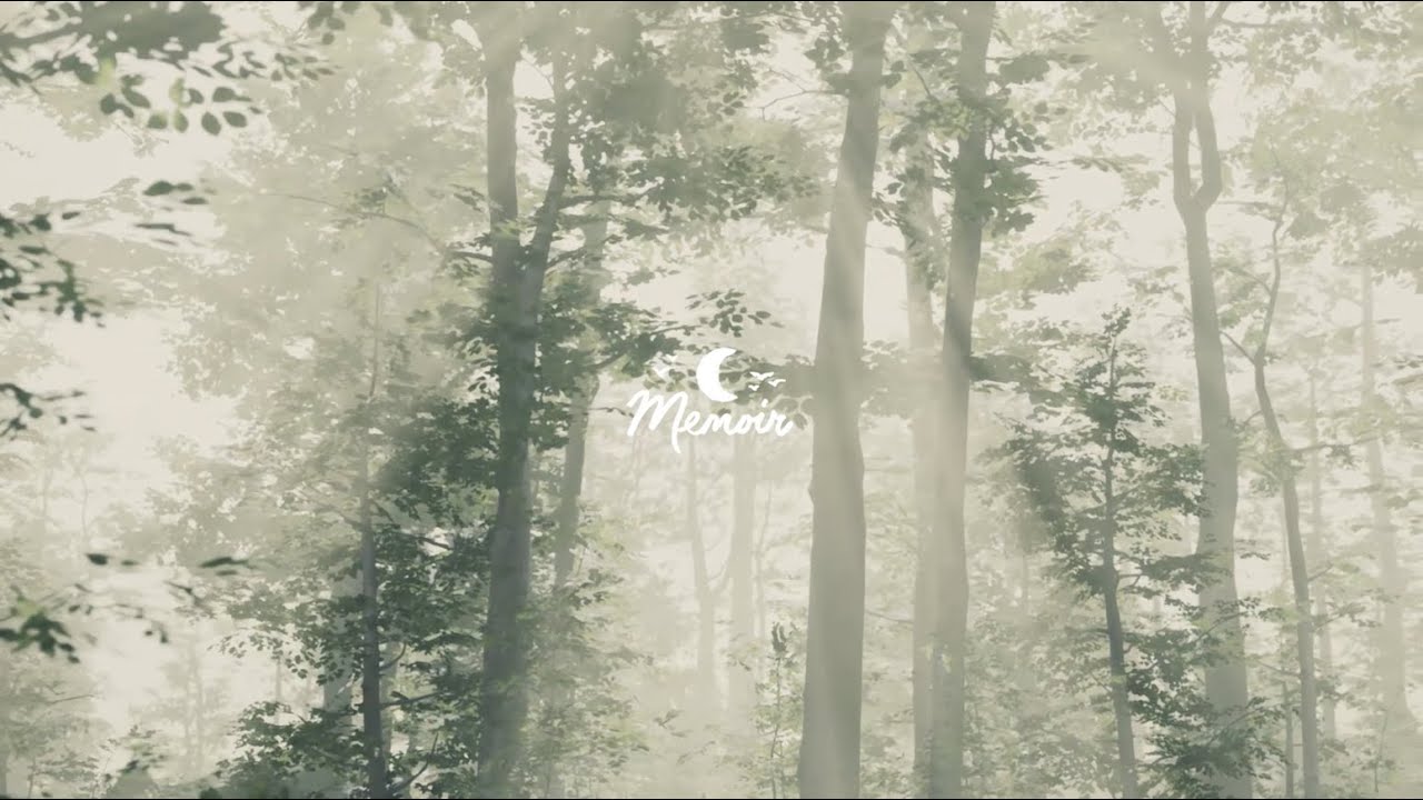 D0d. - Departure - ambeat, sleepy beats & indie chill 🌙