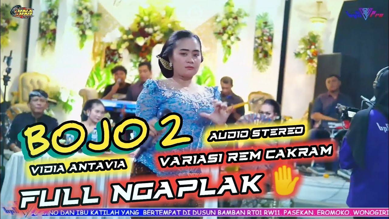 BOJO 2 VIDIA ANTAVIA FULL NGAPLAK TOTAL