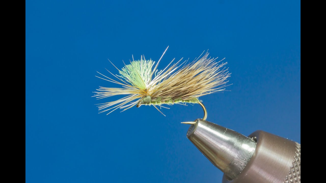 Parachute Nelson Caddis - dry fly