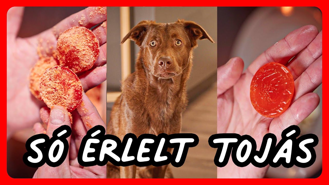 S&oacute;ban &eacute;rlelt toj&aacute;s