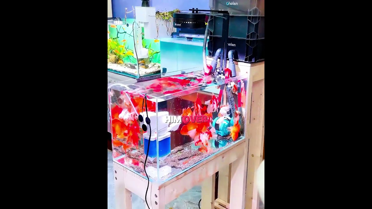 POV: когда устроил жуткий беспорядок, а он убрался сам 😂🧼
