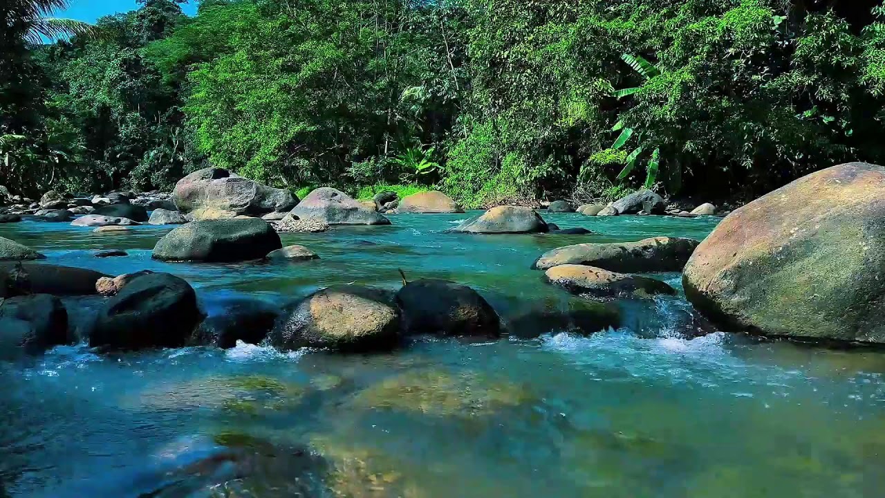 Gentle River Sound to Beat Insomnia | Deep Night Water Flow for Calm Sleep & Relax