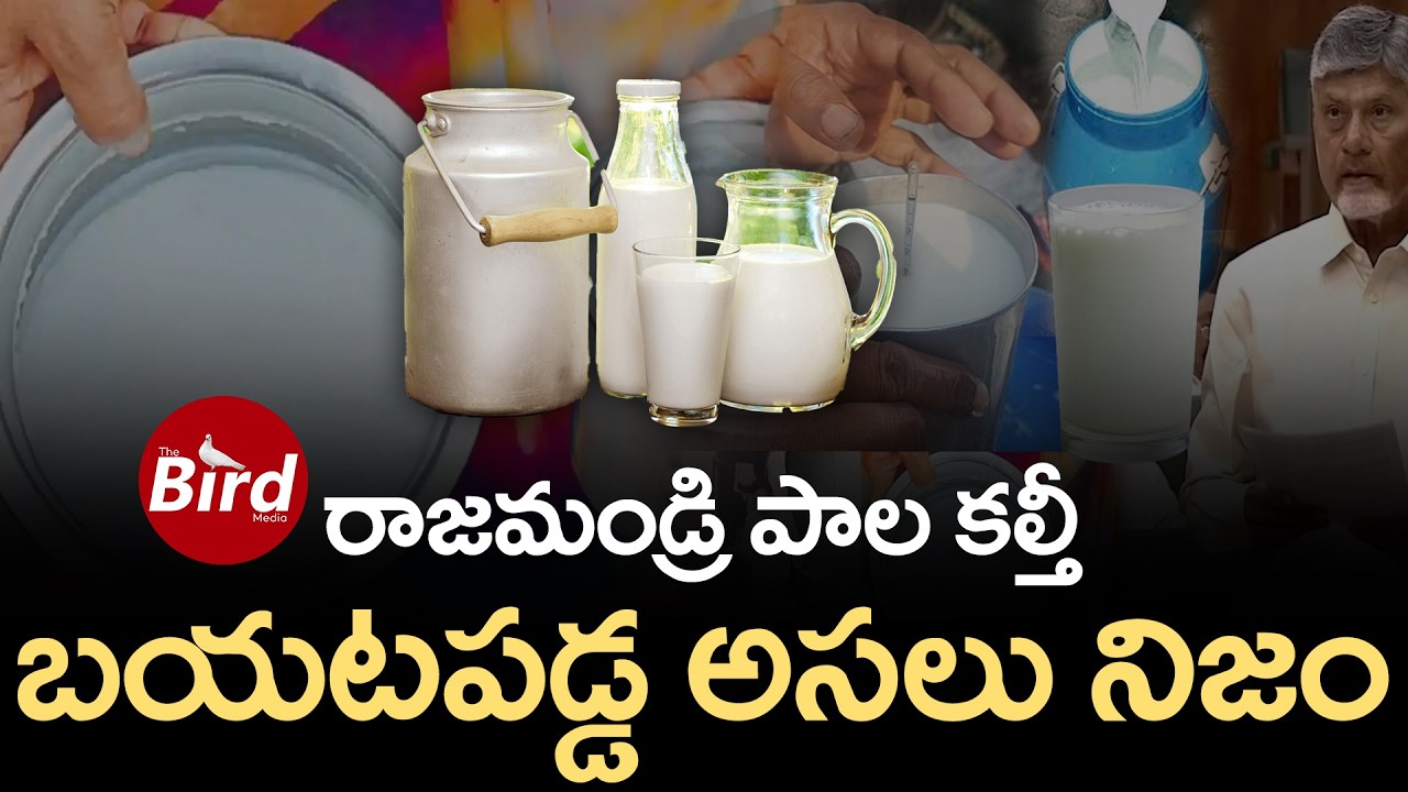 రాజమండ్రి పాల కల్తీలో..బయటపడ్డ అసలు నిజం |Rajahmundry Milk Adulteration Exposed | Bird Media
