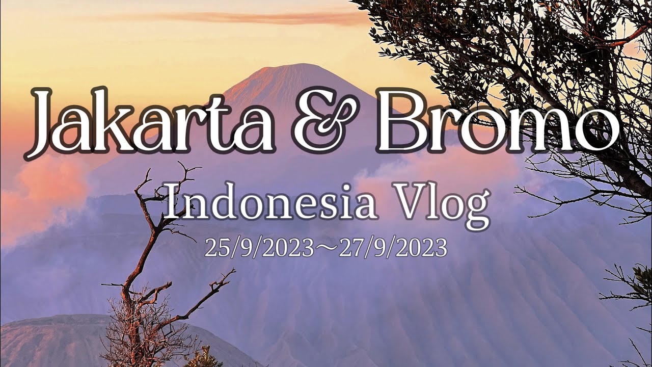 Vlog｜Indonesia #1 - We saw the volcano!!