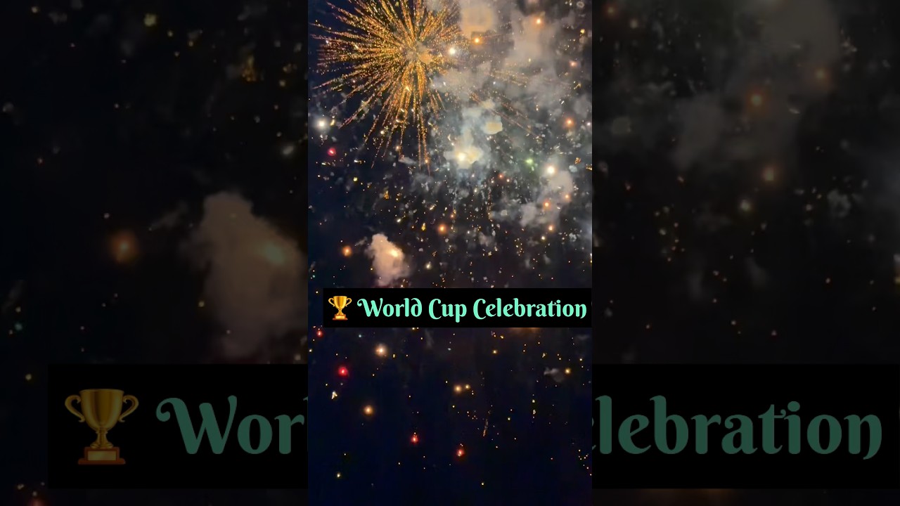 India Wins World Cup! 🏆| Proud Moment for India 🇮🇳| घरासमोर असा साजरा केला विजय