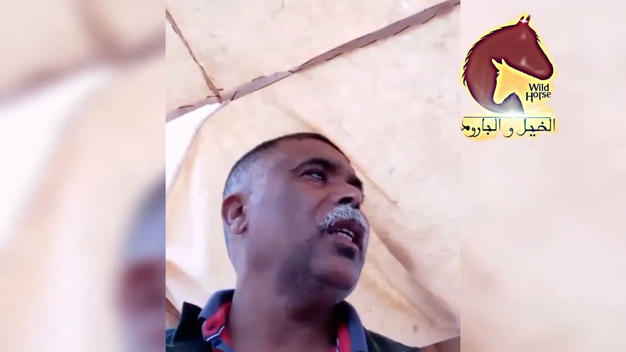 حسني بوجمعة بوقال #اموال_تترعرع من سوق السبت #استيقظ_يا_رجل
