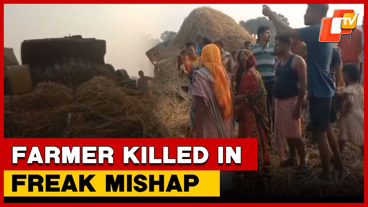 Farmer Killed After Getting Trapped In Paddy Harvesting Machine In Balasore  | OTV
