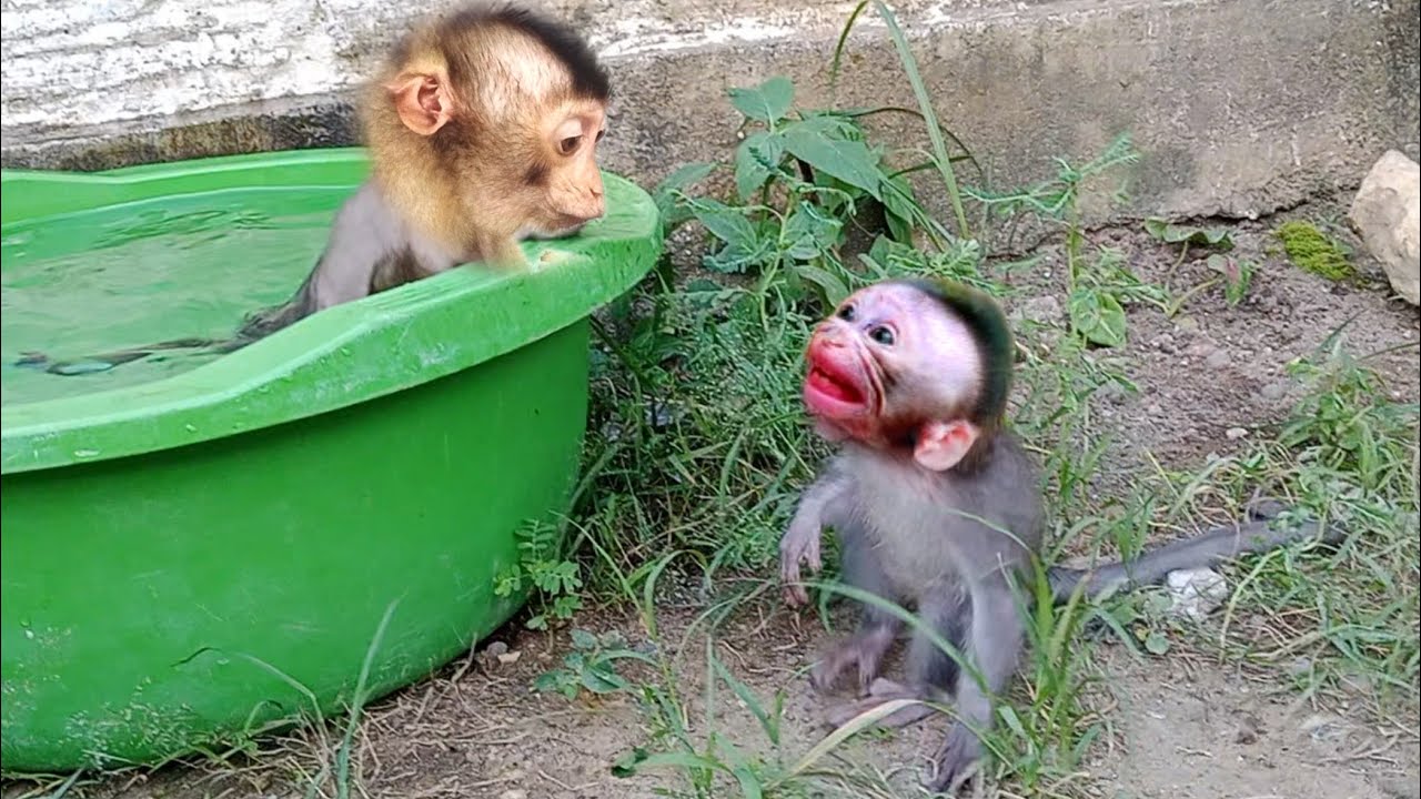 LiBi won't allow baby take a bath..