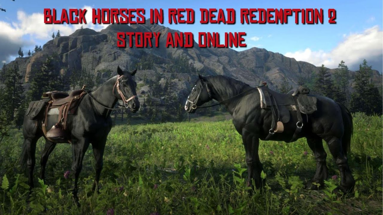Black Horses Available in Red Dead Redemption 2: Story & Online
