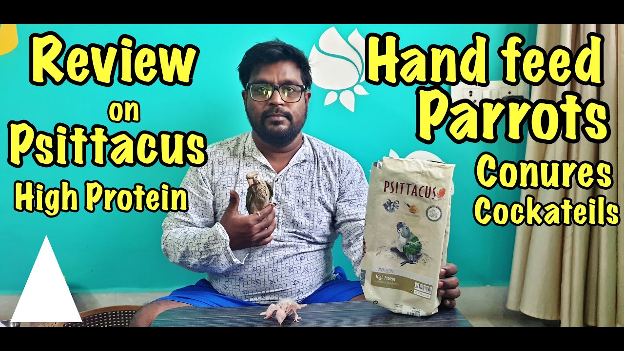 Psittacus formula to chicks / High Protein | My honest review on Psittacus formula