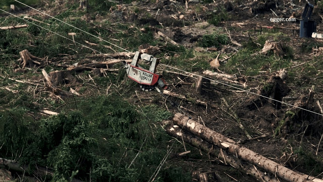 EGGER Harvesting case study – Kidland Forest Complex