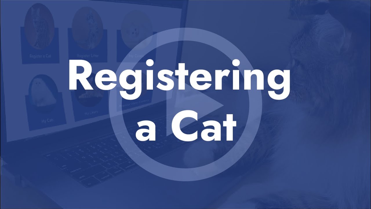 Registering a Cat